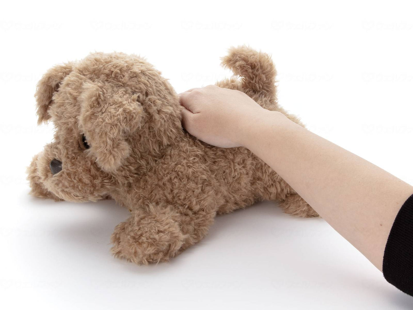 타카라 토미 아트 더 오리 코다 키 브라