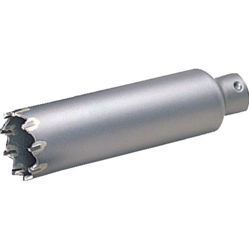 보쉬 폴리 클릭 진동 코어 커터 PSI-029C 1 개