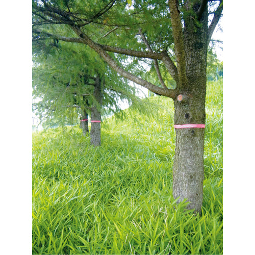 MYZOX 비닐 테이프 핑크 1권입 &lt;BT-15P&gt; BT-15P 1권