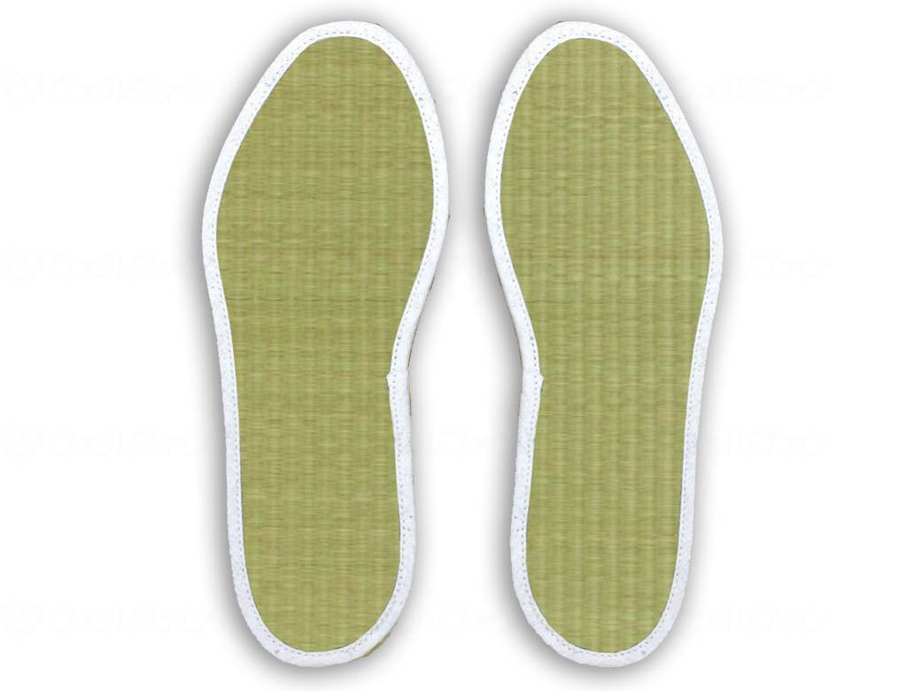 イケヒコ・コーポレーション足さらっとｲﾝｿｰﾙPRO 25.0