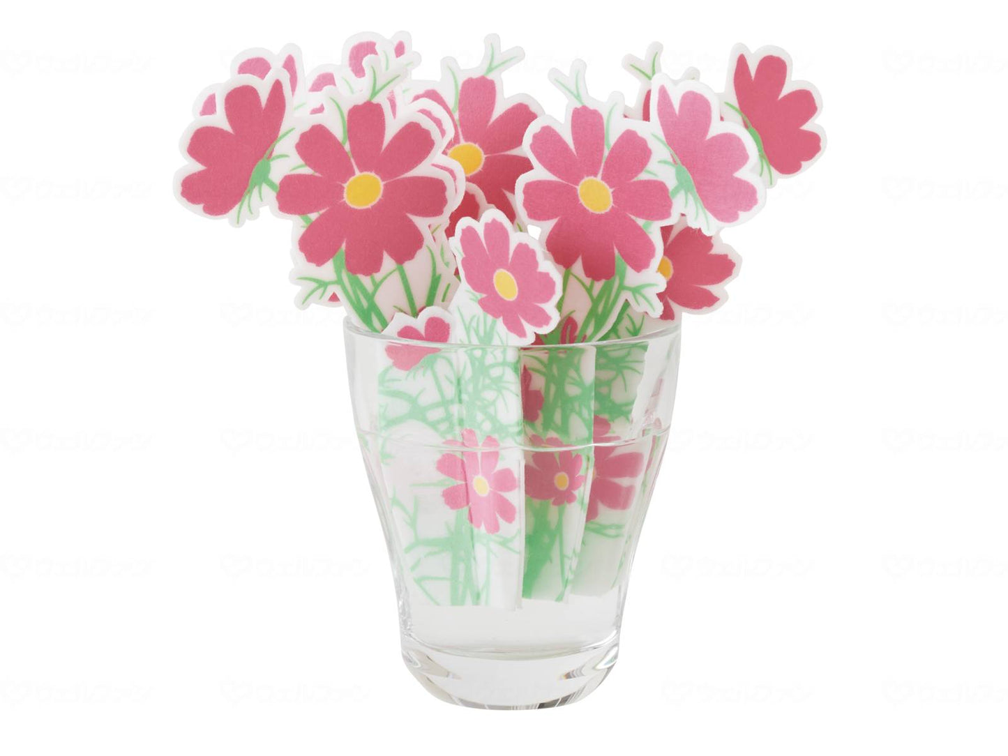 에레멘테 어디에서나 모이스키 코스모스