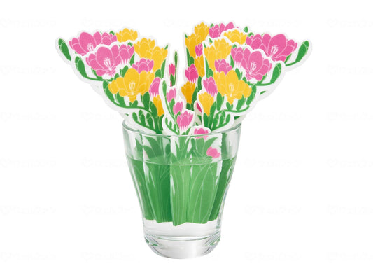 에르메나 어디서나 모이스처 프리저