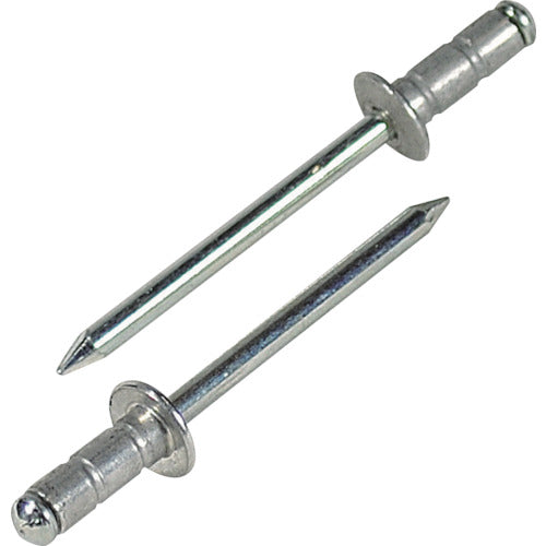 EBI AP Rivet (Aluminum/Steel) 5-4 (1000 pieces) Boxed AP54 1 box
