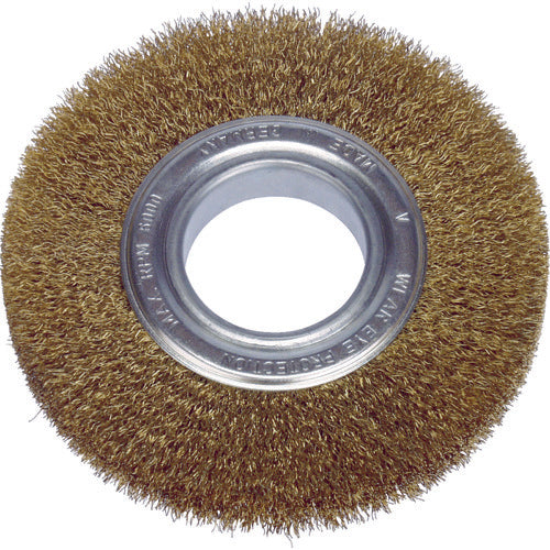 LESSMANN Wheel Brush 100mm 0.2 Brass Wire 323543 1 pc