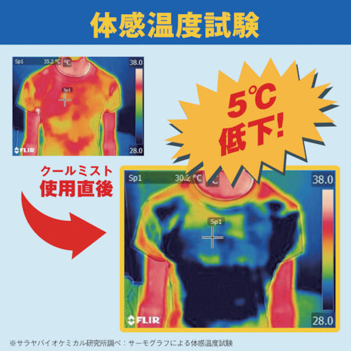 サラヤ　クールリフレ　携帯用　（３枚入）　42416　1 PK