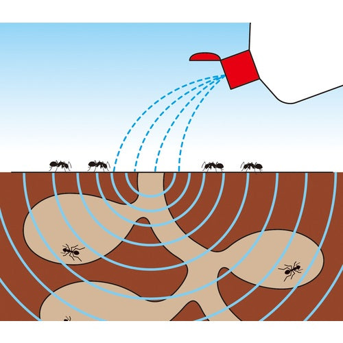 フマキラー　アリ用殺虫剤　巣のアリ退治　液剤８００ｍｌ　424317　1 個