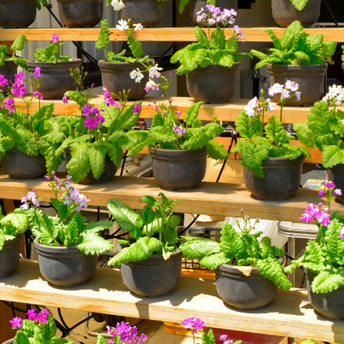 Takagi Pot Sprinkler Drip GKS102 1 PK