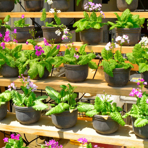 タカギ　ミストスプレーセット　GKS107　1 PK