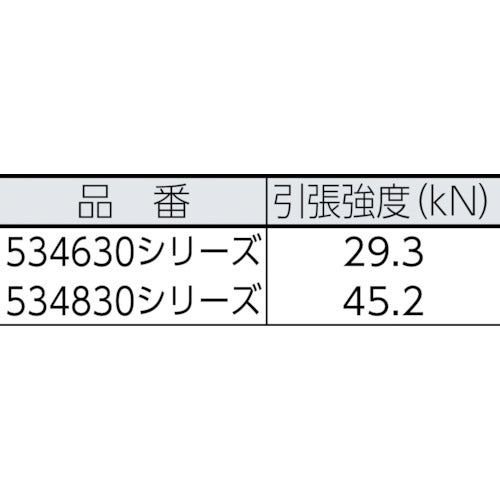 ＢｌｕｅＷａｔｅｒ　セイフライン　９．５φ×９１ｍ　黒　534630BK　1 巻