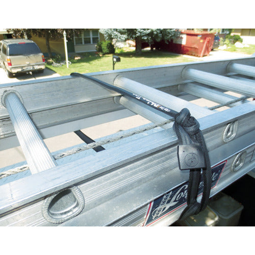 tribeone 【매진 폐번】 리노타이 6 피트 RHINOTIES6FT 1 개