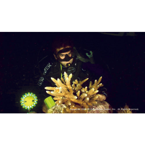 PF Safety Light Blue PF210BBL 1 piece