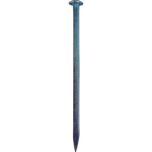 CHECKERS Asphalt Fastener Set (1 Nail Included) CSSBTSSPIKE 1 S