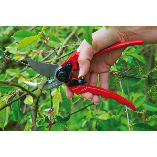Ｂｅｒｇｅｒ　剪定鋏１２００　２１５ｍｍ　1200　1 丁