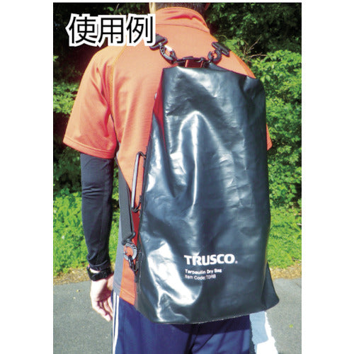 ＴＲＵＳＣＯ　点検ミラー　１型　TIM-01　1 本