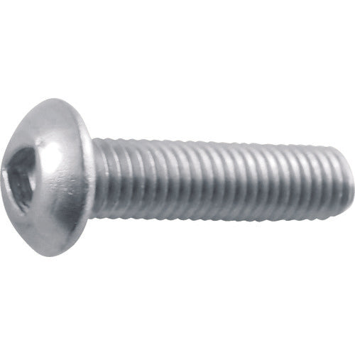 TRUSCO Triangular Socket Button Bolt Stainless Steel M3 x 6 12pcs B101-0306 1PK