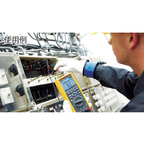 FLUKE 디지털 멀티미터 289/FVF 표준 부속품 289/FVF 1대