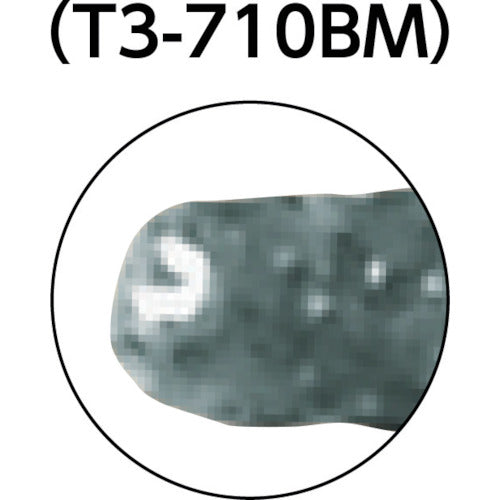 ＴＲＵＳＣＯ　ＣＢＮインターナルバー円筒先丸　Φ１．０Ｘ刃長６Ｘ軸３ｍｍ　T3-710BM　1 本