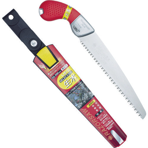 ＲＥＺＯＲＳＡＷ　ＳＥＬＥＣＴ３００生木　174　1 丁