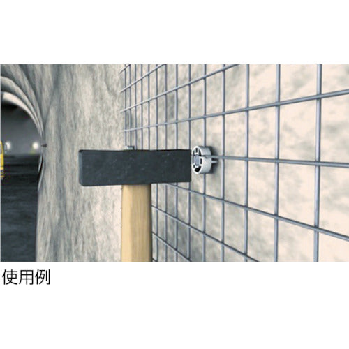 フィッシャー　ネイルアンカー　ＦＮＡ２　６Ｘ３０／５０　Ｃ　（５０本入）　500569　1 箱