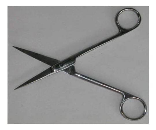 150mm はさみ(精密/ｽﾃﾝﾚｽ製)　EA540ME-22 1個