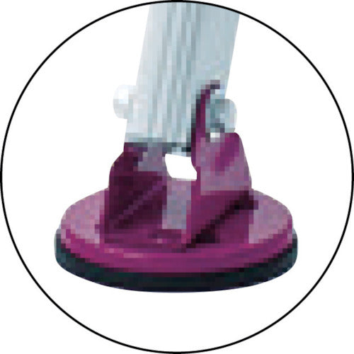 Hasegawa Extendable 2-section ladder, Nobi type, LSK2-1.0-44, 1 unit