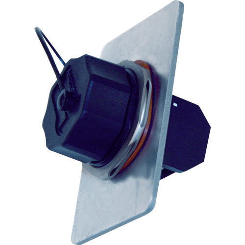 Corning Blank Cap I67C 1 pc