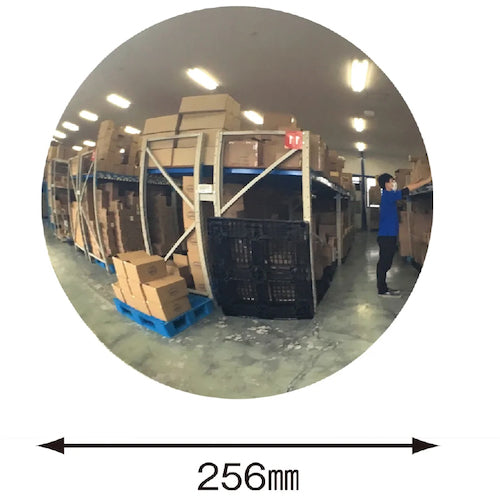 CAR-BOY 컬러 플라폴 어디서나 미러 CP65 1개