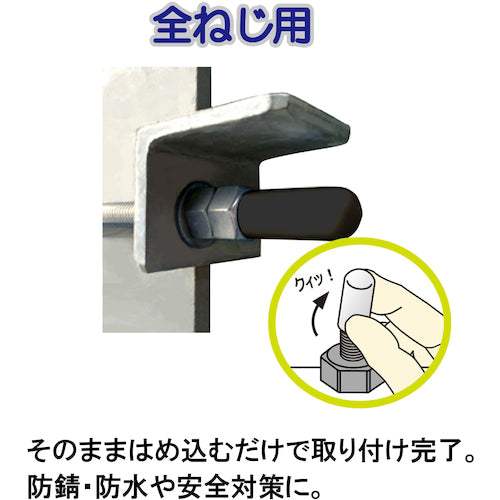 ＤＡＩＤОＨＡＮＴ　エンドねじキャップ　全ねじ用　黒Ｍ６　４個入　10187046　1 PK