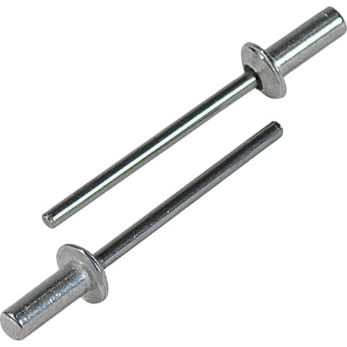 エビ　ブラインドリベット・シールドタイプ　エコＢＯＸ　アルミ／スティール　５−２　（３００本入）　NSA52CEB　1 箱