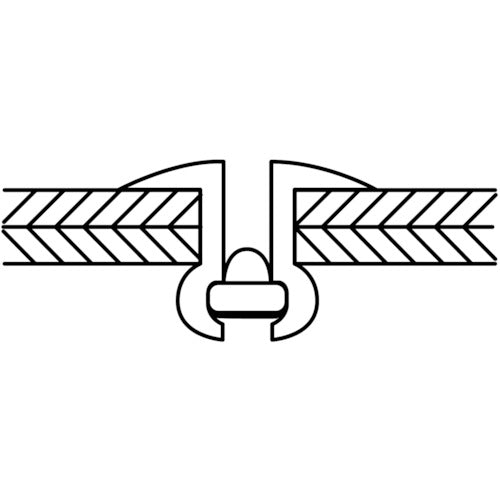 새우 블라인드 리벳 라지 플랜지 에코 BOX 알루미늄/스틸 6-2 (100개입) NSA62LFEB 1상자