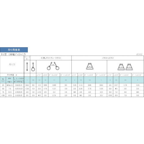 ＴＥＳＡＣ　耐化学薬品用スリング（ＪＩＳ２等級・両端アイ形）２５ｍｍ幅×１ｍ　PP2E25X1　1 本