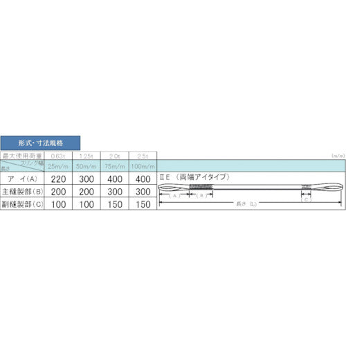 ＴＥＳＡＣ　耐化学薬品用スリング（ＪＩＳ２等級・両端アイ形）２５ｍｍ幅×１ｍ　PP2E25X1　1 本