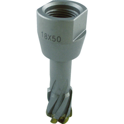 ＨｉＫＯＫＩ　スチールコア（Ｎ）　５８ｍｍ　Ｔ５０　0031-6088　1 本