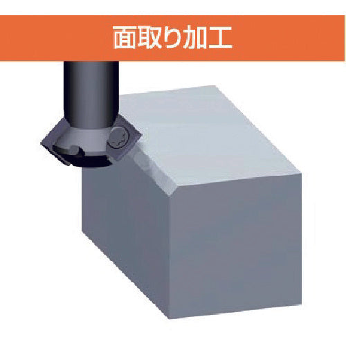 Fujigen Chibi Double-sided TR10-12S 1 piece