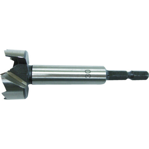 RELIEF 육각축 좌굴 드릴 날 직경×섕크 직경：15×6.35mm 26388 1개