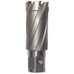 육양 라이트 볼러용 교체날(초경날)(51087) CRSQ205 1개