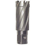 Ikura Light Borer Replacement Blade (Carbide Blade) (51090) CRSQ220 1 piece