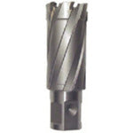 육양 라이트 볼러용 교체날(초경날)(51097) CRSQ260 1개