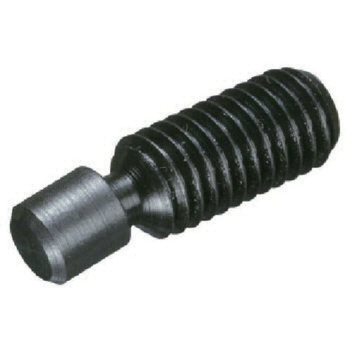 IMAO Swivel Screw BJ736-16100A 1 piece