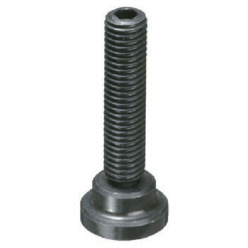 Imao Thrust Pad Bolt BJ746-16004 1 pc