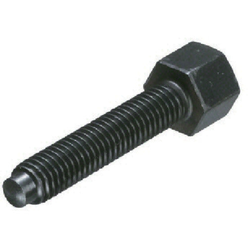 IMAO Clamp Bolt BJ748-12080 1 piece