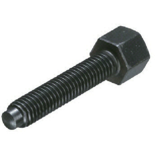 IMAO Clamp Bolt BJ748-12100 1 piece