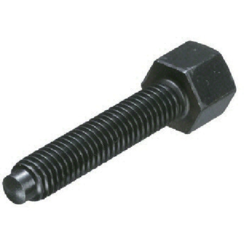 IMAO Clamp Bolt BJ748-20125 1 piece
