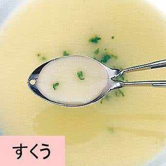 Saito Kogyo Spoon Chopsticks All Stainless Steel