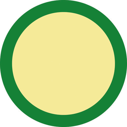 Green Cross Luminous Marking Stickers, Luminous D, 40mmΦ, Set of 10, PVC, for Floors, 069004, 1 Set