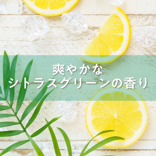 사라야 샤보넷트 P-5400mL 교체 23424 1개