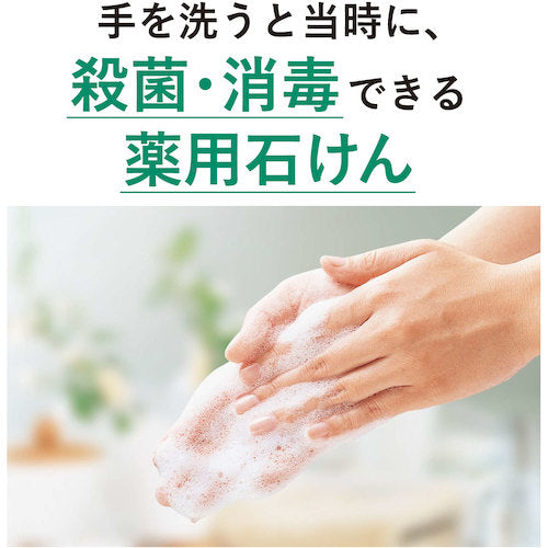 사라야 샤보넷트 P-5400mL 교체 23424 1개