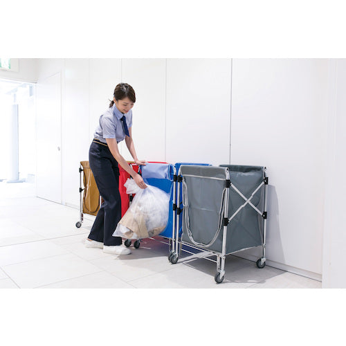 테라모토 스탠딩 카트(본체) 대 범퍼 없음 DS-226-060-0 1대