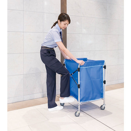 테라모토 스탠딩 카트(본체) 대 범퍼 없음 DS-226-060-0 1대