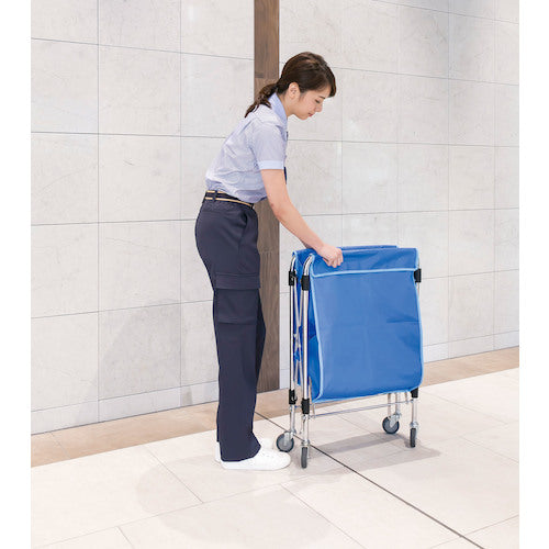 테라모토 스탠딩 카트(본체) 대 범퍼 없음 DS-226-060-0 1대